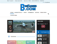 Tablet Screenshot of bonihargens.com